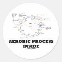 Aerobic Process Inside (Krebs Cycle) Sticker