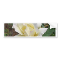 Aerodynamic White Rose - CricketDiane Art Products