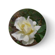 Aerodynamic White Rose - CricketDiane Art Products