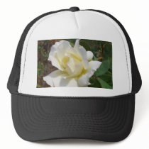 Aerodynamic White Rose - CricketDiane Art Products