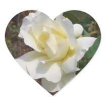 Aerodynamic White Rose - CricketDiane Art Products