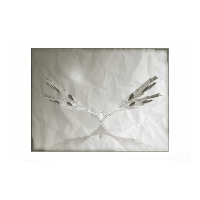 Aerodynamics Print by shaperesort
