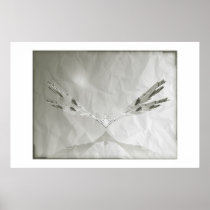 Aerodynamics Print