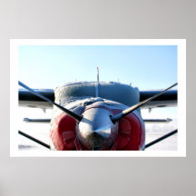 Aeroplano congelado poster