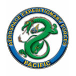 Aerospace_Expeditionary_Forces_Pacific t-shirts