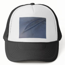 aerotruck hats by v8volvo aerotruck hats
