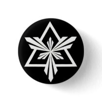 AF B-1 PIN