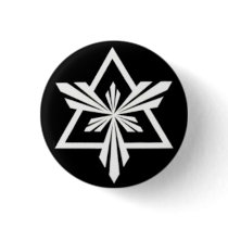 AF B-1 PIN