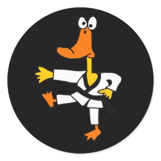 AF- Funny Martial Arts Duck