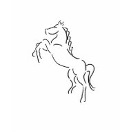 AF- Graceful Rearing Horse T-shirt shirt