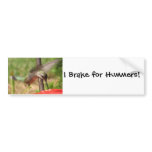 AF- Hummingbird Bumpersticker Bumper Sticker