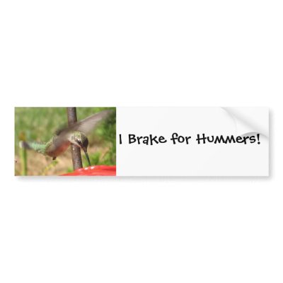 AF- Hummingbird Bumpersticker Bumper Sticker by patcallum