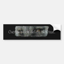 AFE Arctic Fox Eyes Bumper Stickers