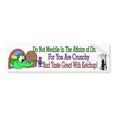 Affairs of Dragons Bumper Stickers by meowser