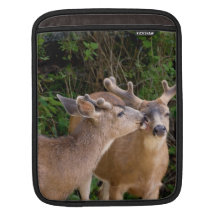 Affectionate Deer Bucks Sleeves For MacBook Air