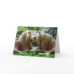 Affectionate Lions Greeting Cards
