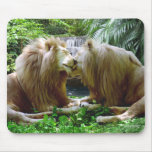 Affectionate Lions Mouse Mat