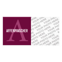 Affenpinscher Breed Monogram Design Photo Greeting Card