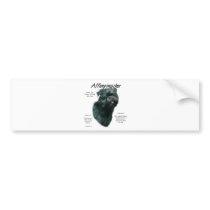 Affenpinscher History Design Bumper Stickers