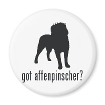 Affenpinscher Fridge Magnets