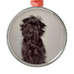 Affenpinscher Ornament