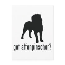 Affenpinscher Post Cards