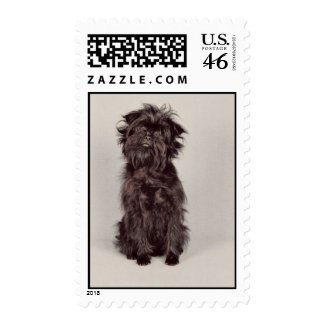Affenpinscher Stamp (MEDIUM) stamp