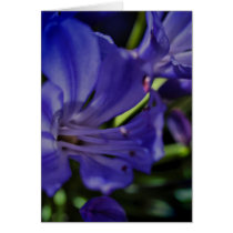 Affirmations & A New World Greeting Cards