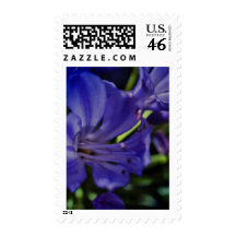 Affirmations & A New World Stamp
