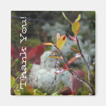AFFl Autumn Forest Floor Refrigerator Magnets