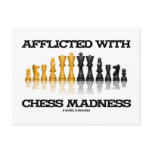 Afflicted With Chess Madness (Chess Set) Post Card
