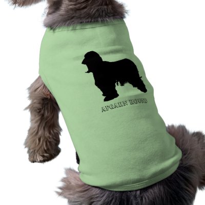 Afgahn Hound Pet Tshirt by dog_apparel