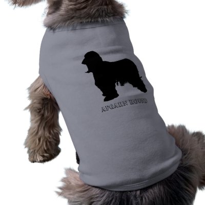 Afgahn Hound Pet Clothing by dog_apparel
