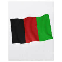 afghan flyers