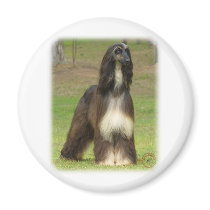 Afghan Hound 9J030D-08 Fridge Magnets
