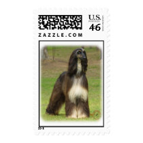 Afghan Hound 9J030D-08 Postage Stamp