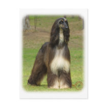 Afghan Hound 9J030D-08 Postcard