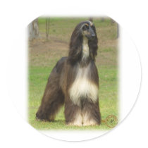 Afghan Hound 9J030D-08 Sticker