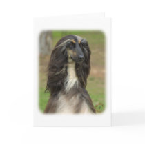 Afghan Hound 9J31D-06 Greeting Card