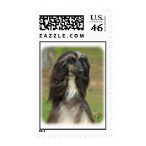 Afghan Hound 9J31D-06 Postage Stamp