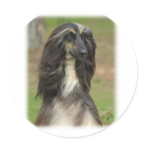 Afghan Hound 9J31D-06 Round Sticker