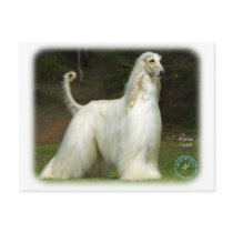 Afghan Hound 9J32D-21 Postcard