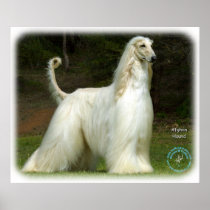 Afghan Hound 9J32D-21 Print
