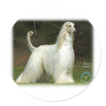 Afghan Hound 9J32D-21 Stickers