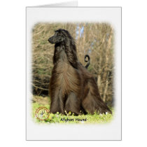 Afghan Hound 9P032D-201 Greeting Cards