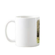 Afghan Hound 9P032D-201 Coffee Mug