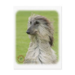 Afghan Hound 9R086D-062 Postcards