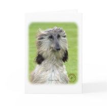 Afghan Hound 9R086D-69 Card