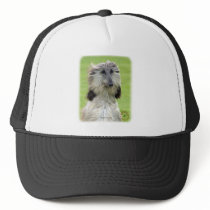 Afghan Hound 9R086D-69 Trucker Hats