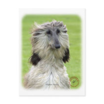 Afghan Hound 9R086D-69 Postcards
